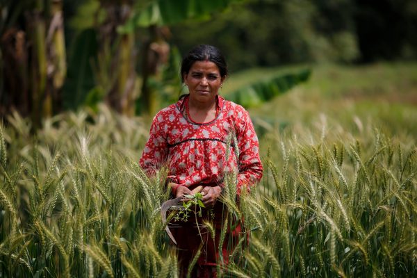 Newsletters (in costruzione)