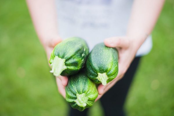 Frutta e verdura dell’Orto nel Cortile