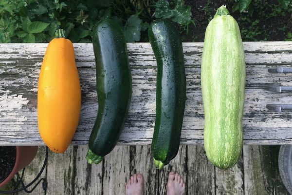 Compra frutta e verdura dell’Orto nel Cortile