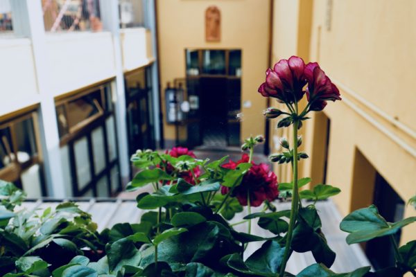 Ho pianto, non dirlo a nessuno