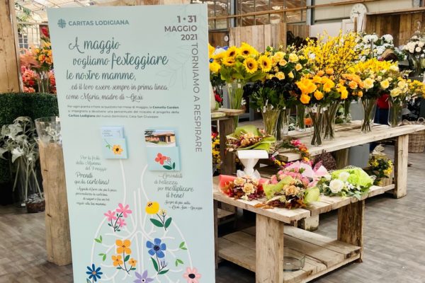 Comella e Caritas, la primavera della solidarietà